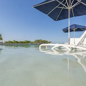 https://cetral-department-playa.quintano-roohotels.com