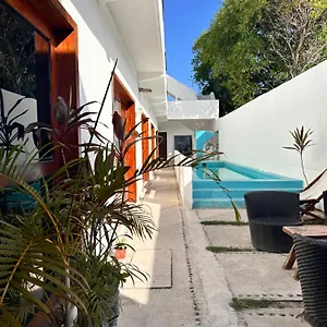 https://casa-coral-costa-maya.quintano-roohotels.com